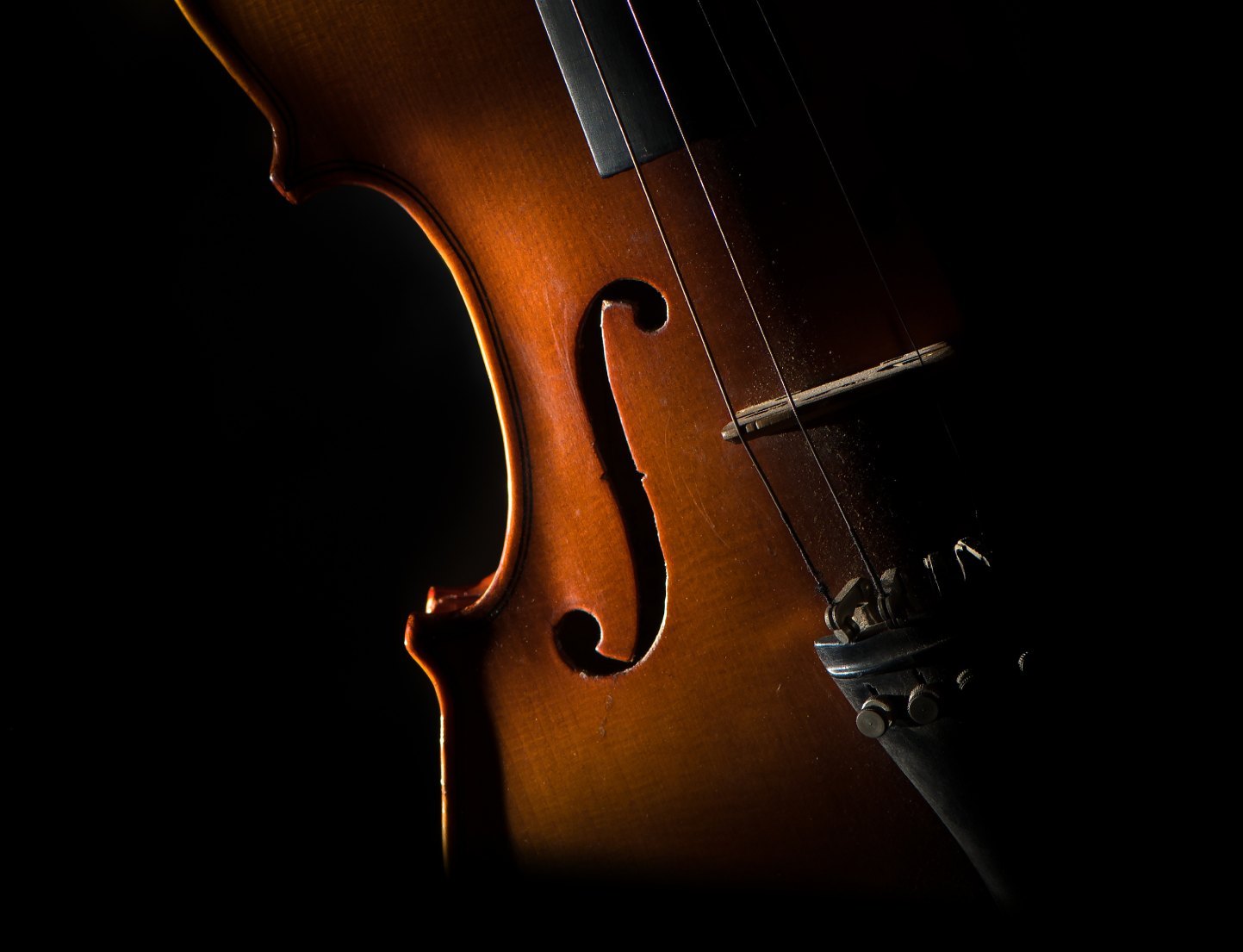 violin