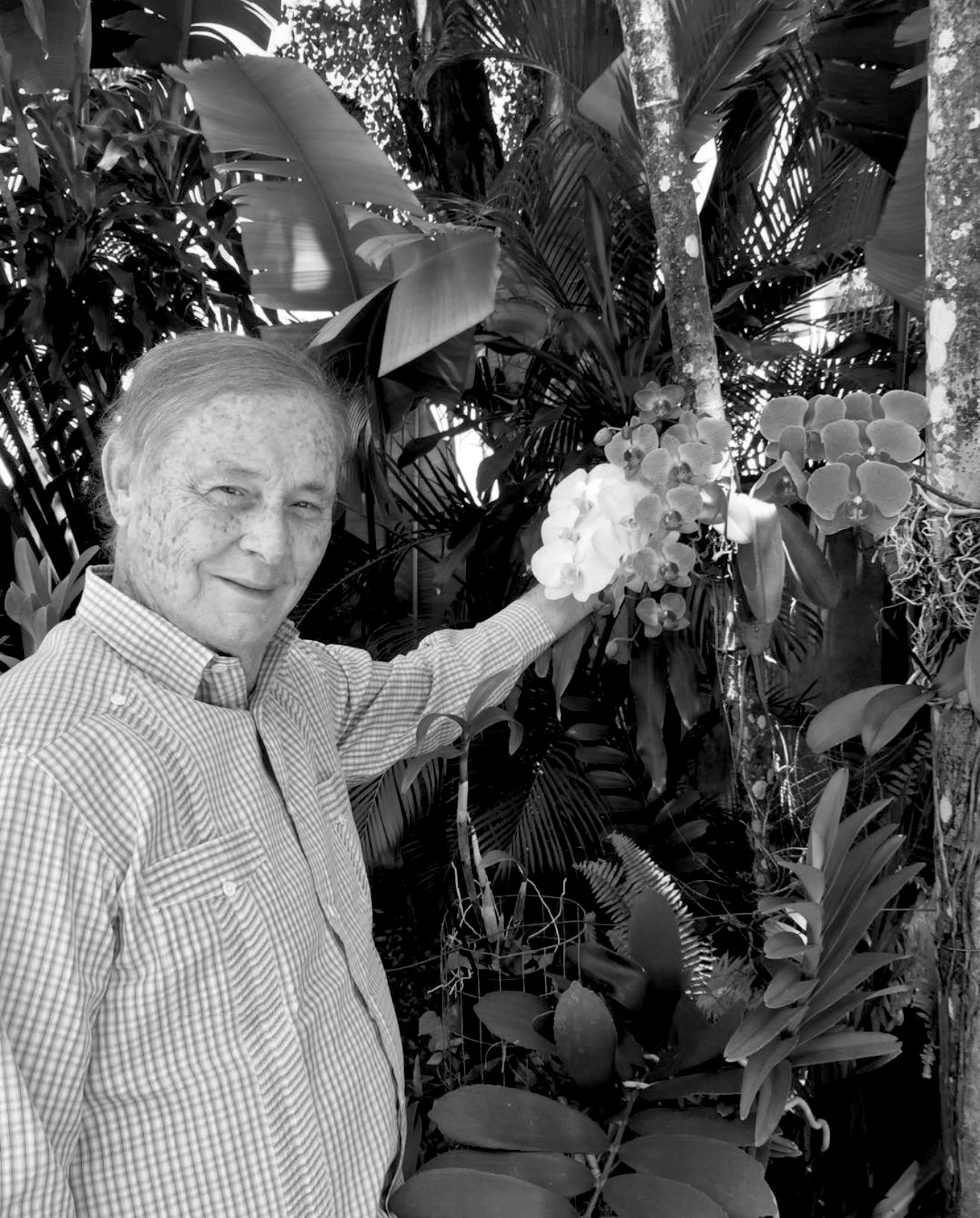 Nota luctosa: Don Wilhelm Brouwer